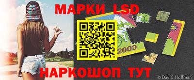 шишки Абинск