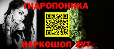 шишки Абинск