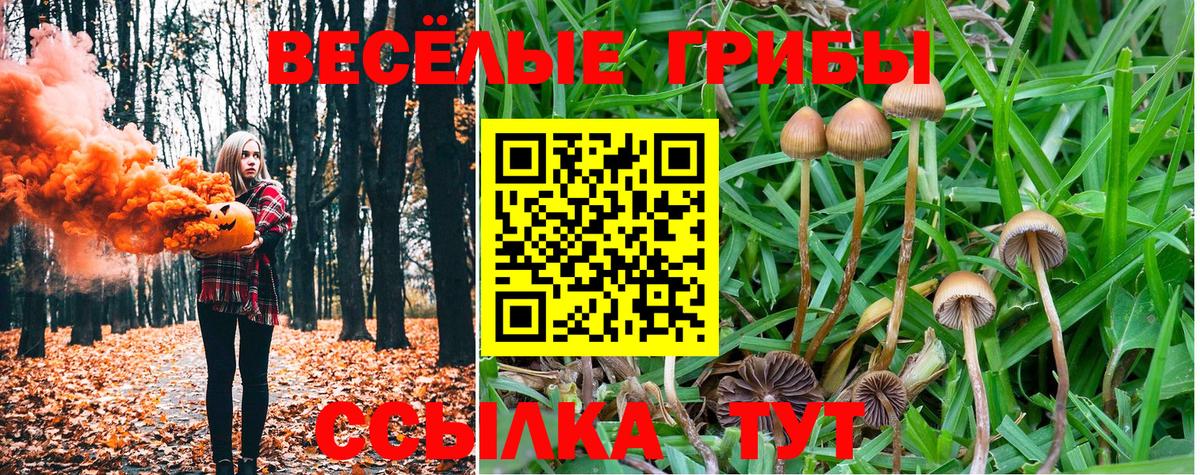 Галлюциногенные грибы ЛСД  где можно купить   Россия  Псилоцибиновые грибы мицелий  Вход с VPN 