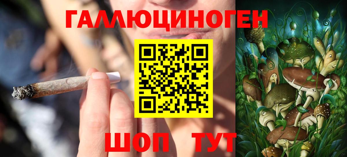 Бошки Шишки  Вход с VPN  Alpha PVP СК кристаллы  Кодеин  Меф МЯУ МЯУ  ГАШ  Гашиш  Россия  Меф МЯУ МЯУ кристаллы 