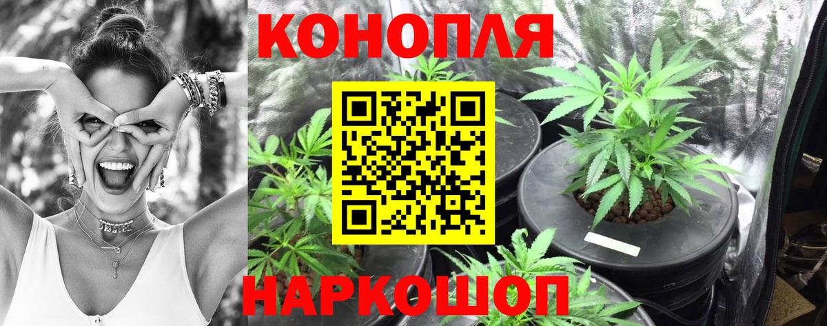 Россия  Конопля White Widow  Бошки марихуана Ganja  Вход с VPN 